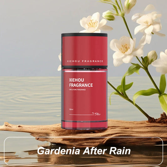 💥2025 Nouvelle vente chaude💝Parfum de voiture longue durée