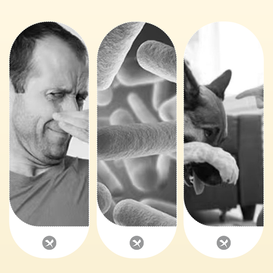 120 ml Spray déodorant puissant pour animaux domestiques