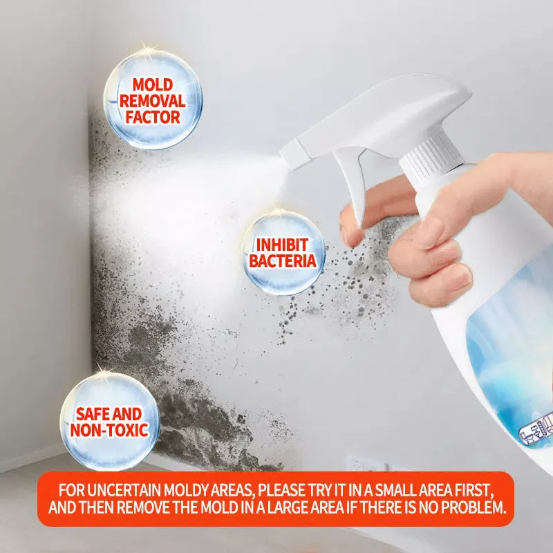 🔥Soldes 2025🔥Spray anti-moisissure hautement efficace - Empêche la réapparition des moisissures