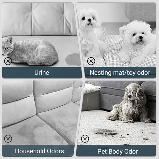 🔥Spray désodorisant pour animaux domestiques🐕🌟