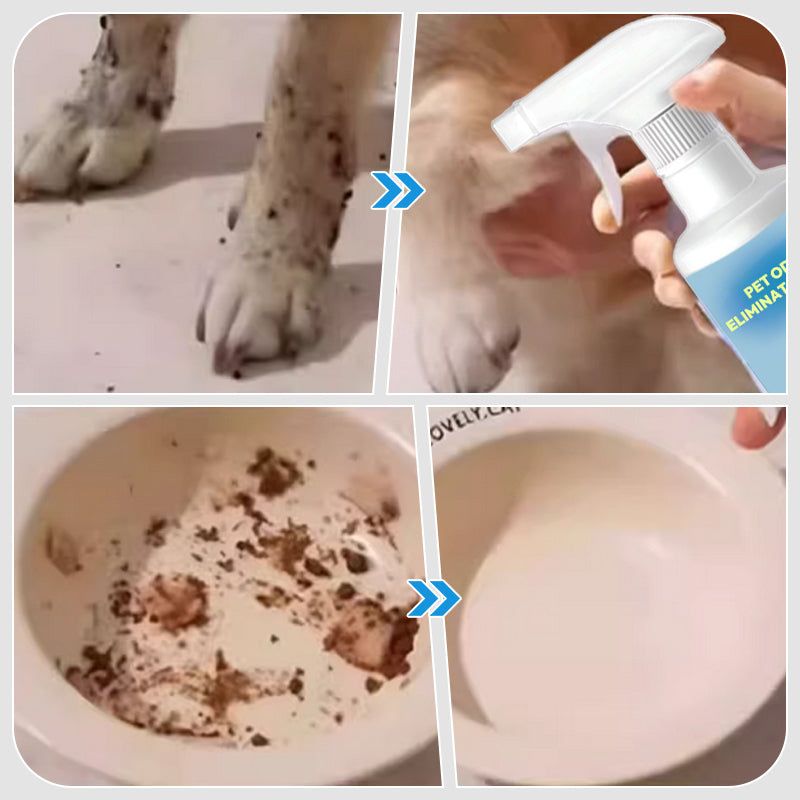 🔥Spray désodorisant pour animaux domestiques🐕🌟