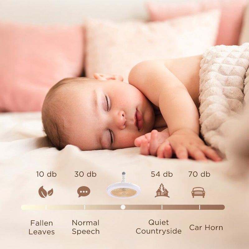⏳Réduction limitée de 50%🎁Ventilateur de plafond aromathérapie avec lumière et télécommande