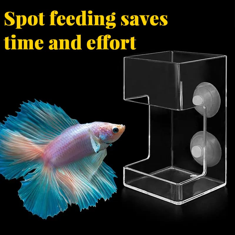 Anneau et plateau d'alimentation pour aquarium!