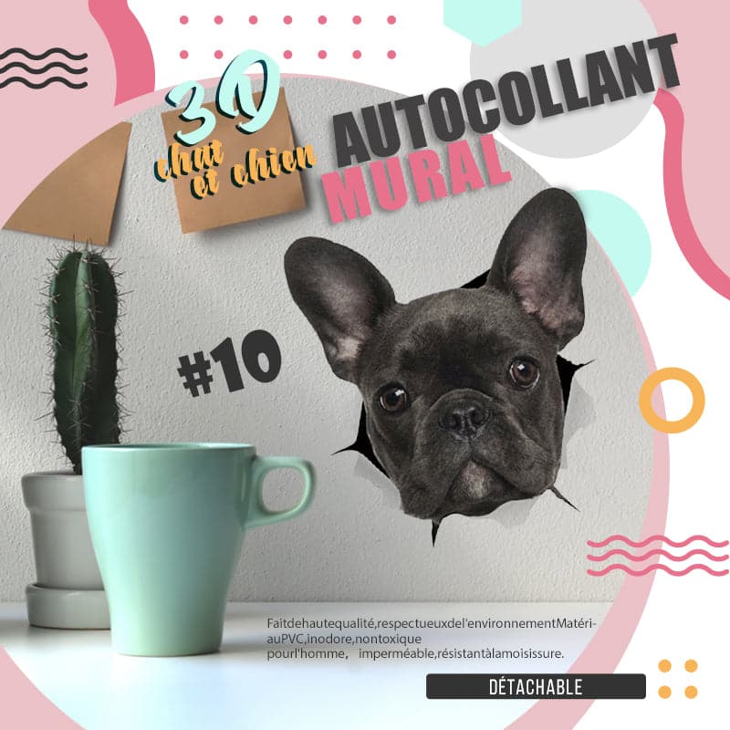 Autocollants muraux 3D amovibles pour chats et chiens