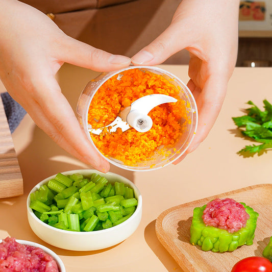 Hachoir Électrique pour Aliments et Ail