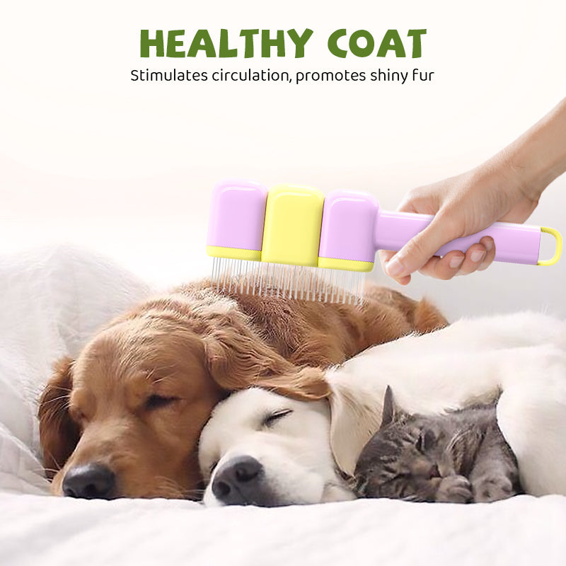 Brosse autonettoyante pour animaux de compagnie