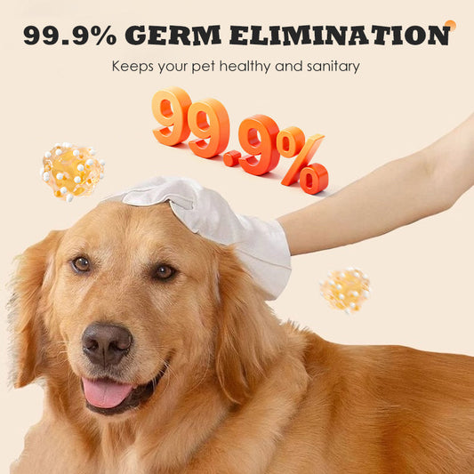 🐱🐶Gants nettoyants pour animaux domestiques, ne nécessitent pas de rinçage