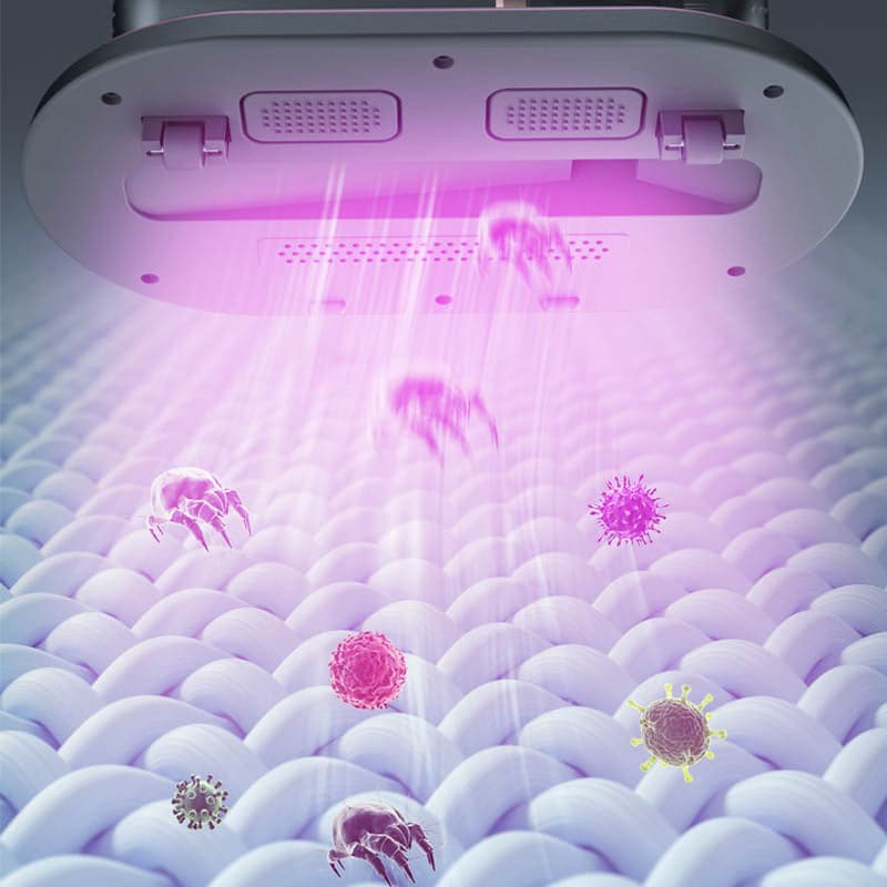 Durée limitée : 50 % de réduction🔥Aspirateur à matelas manuel🔥Livraison gratuite