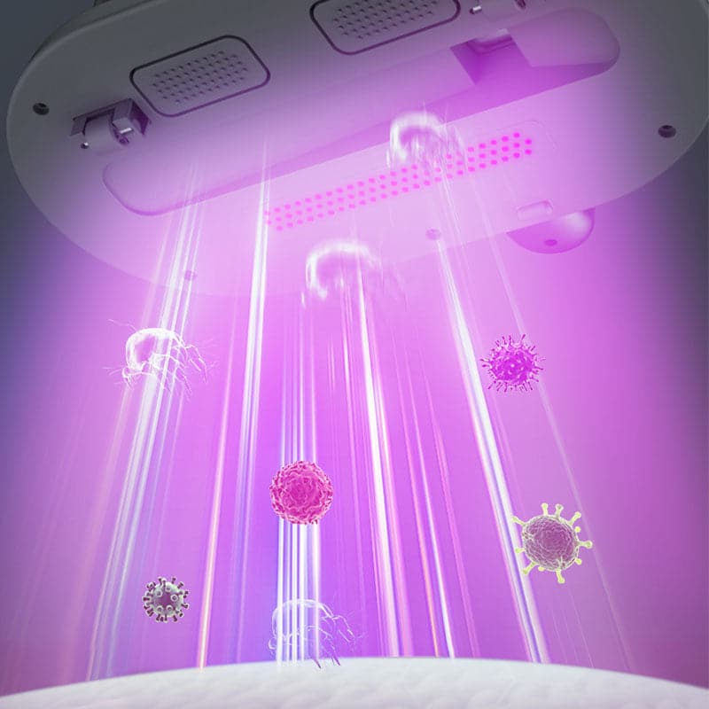 Durée limitée : 50 % de réduction🔥Aspirateur à matelas manuel🔥Livraison gratuite