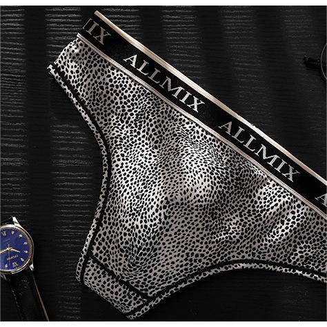 Slip taille basse imprimé léopard pour hommes