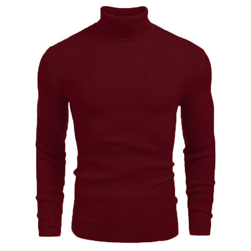 Pull fin à col roulé en tricot pour hommes d'hive