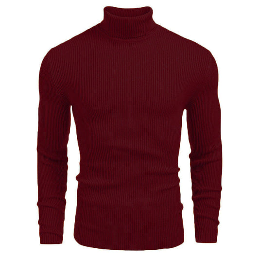 Pull fin à col roulé en tricot pour hommes d'hive