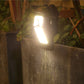 🔥VENTE CHAUDE🔥Lampe à induction à charge solaire pour jardin et extérieur à domicile