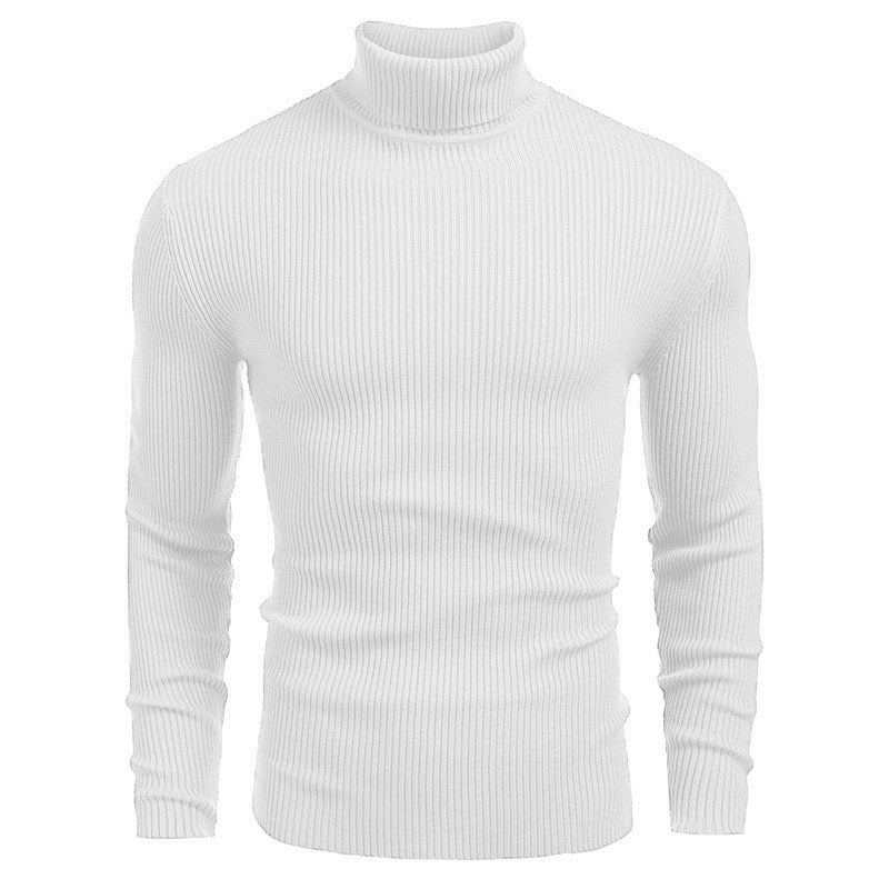 Pull fin à col roulé en tricot pour hommes d'hive