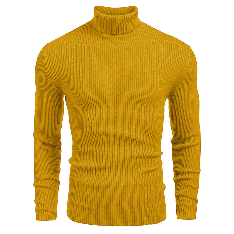 Pull fin à col roulé en tricot pour hommes d'hive