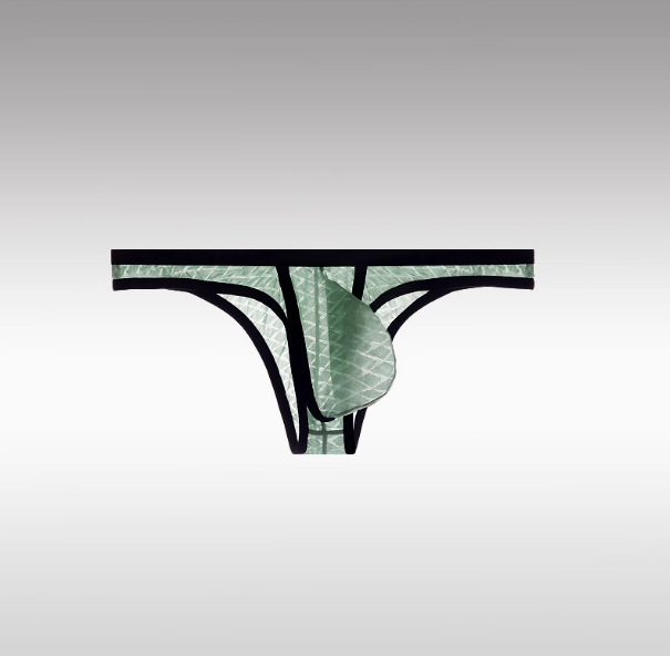 Slips ultra-minces sexy à taille basse pour hommes Bikini Ice Silk Mesh Transparent