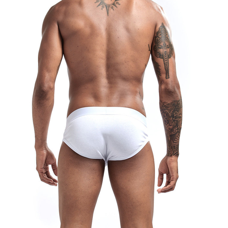 Slips sexy en coton pour hommes