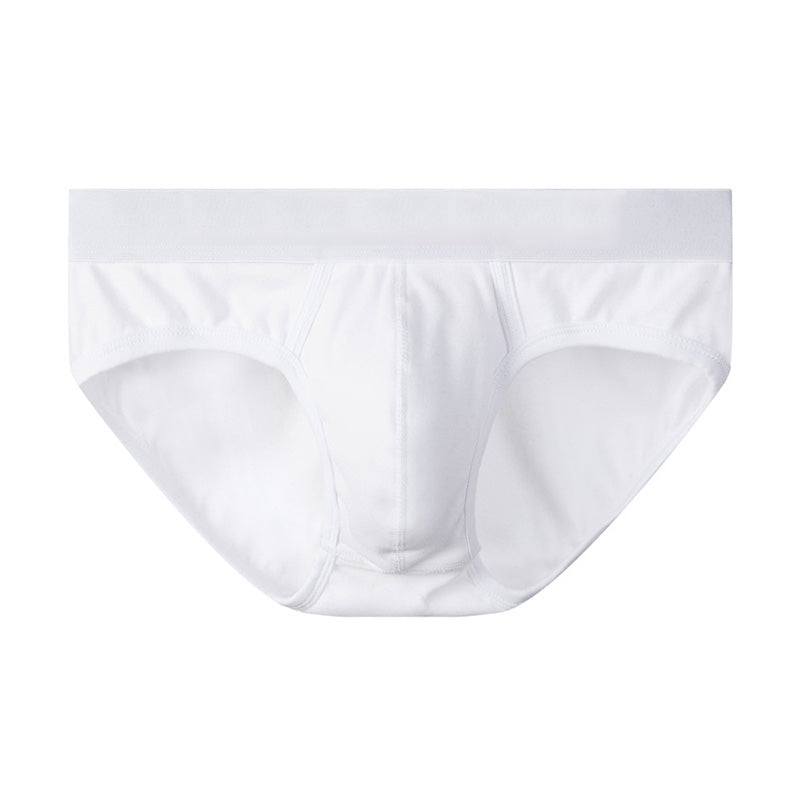 Slips sexy en coton pour hommes