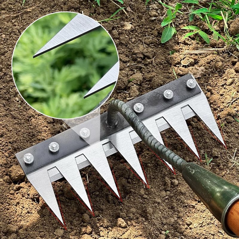 💎 50% DE RÉDUCTION ! 💎 Râteau de Désherbage en Acier au Carbone – 5/6/7/8 Dents, Anti-Rouille & Multi-Usage pour Jardin 🌿🪛