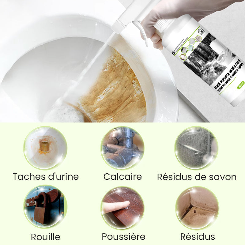 Spray de Nettoyage Multi-usages à l'Acide Oxalique pour Éliminer les Taches