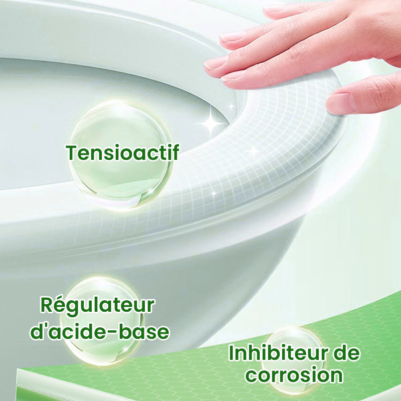 Spray de Nettoyage Multi-usages à l'Acide Oxalique pour Éliminer les Taches