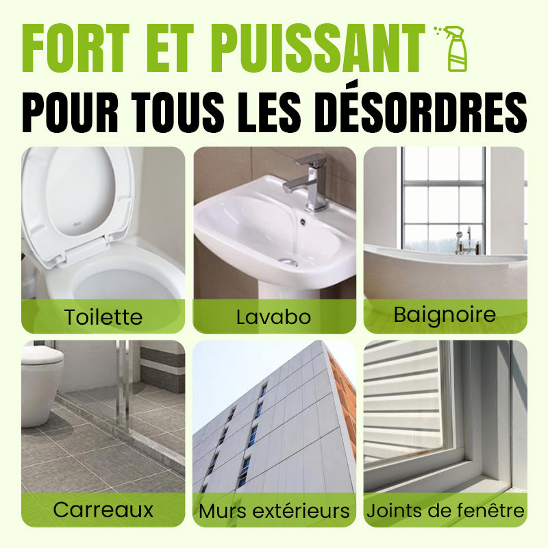 Spray de Nettoyage Multi-usages à l'Acide Oxalique pour Éliminer les Taches