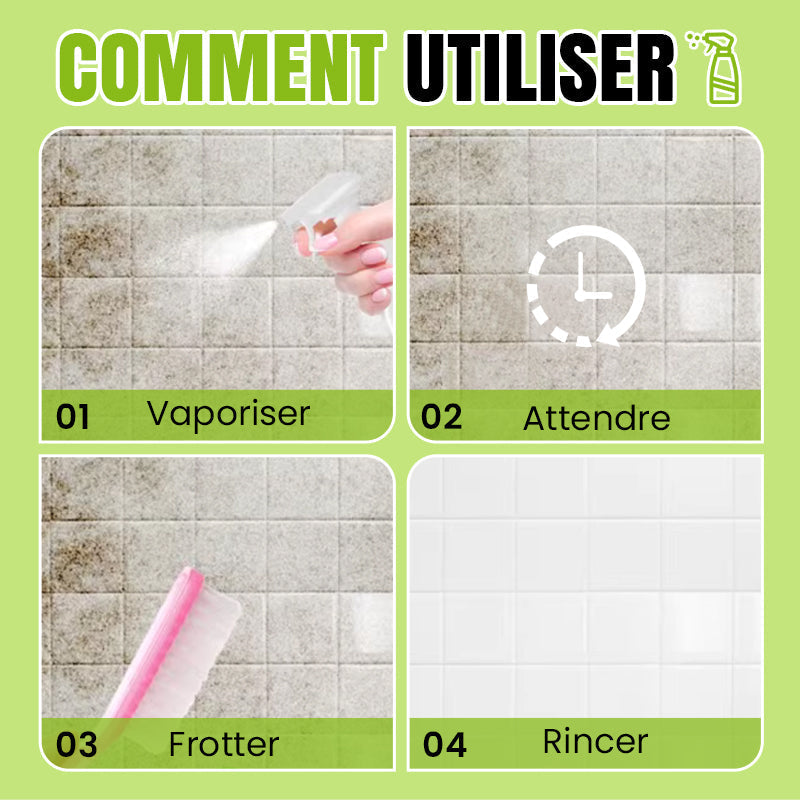 Spray de Nettoyage Multi-usages à l'Acide Oxalique pour Éliminer les Taches