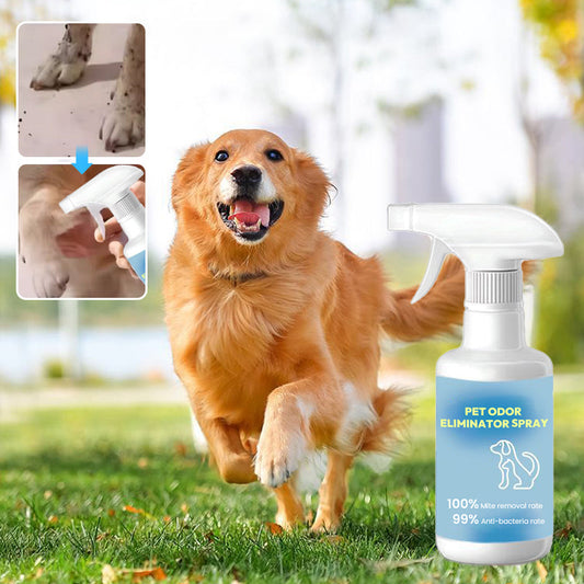 🔥Spray désodorisant pour animaux domestiques🐕🌟