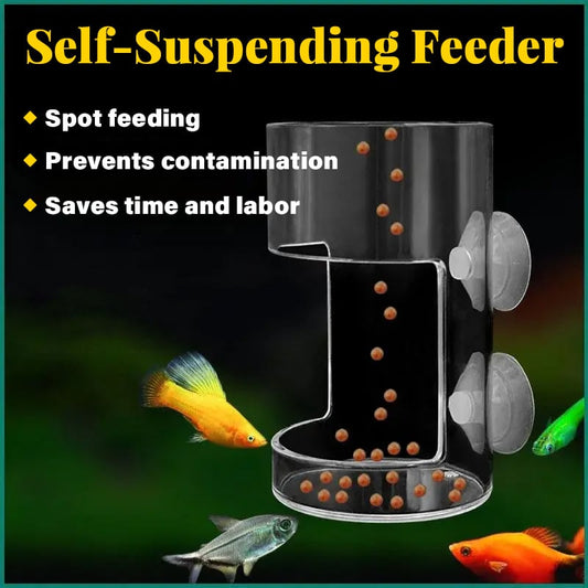 Anneau et plateau d'alimentation pour aquarium！