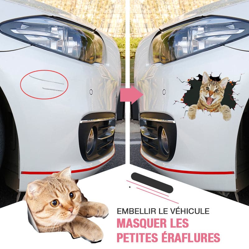 Autocollants muraux 3D amovibles pour chats et chiens