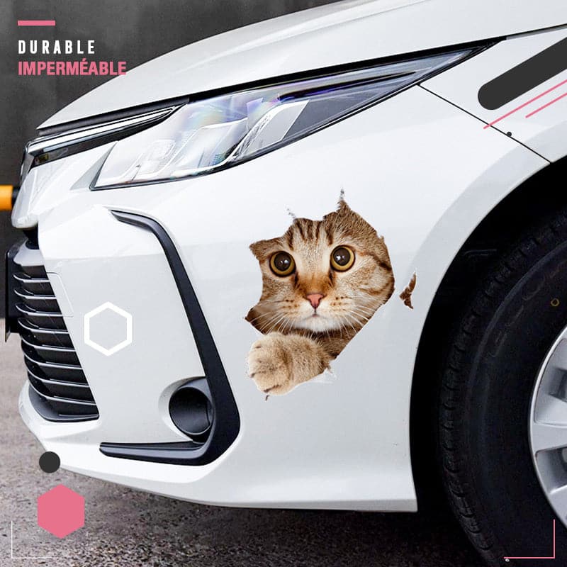 Autocollants muraux 3D amovibles pour chats et chiens