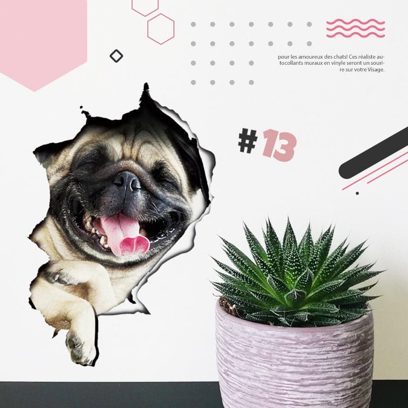 Autocollants muraux 3D amovibles pour chats et chiens