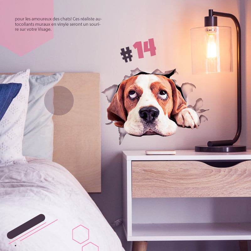 Autocollants muraux 3D amovibles pour chats et chiens