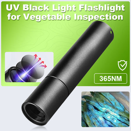 🔦 1 ACHETÉ = 1 OFFERT ! 🌿 Lampe UV Aliments - Détecte Résidus et Contaminations 🍎📦