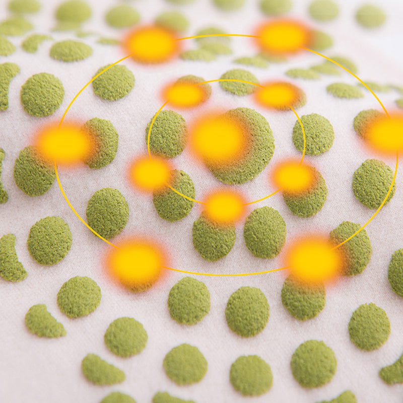 🦵 ACHETEZ 1 - RECEVEZ 1 GRATUIT ! ❄️ Ceinture Protectrice Hiver pour Femmes - Élastique et Chaude, Confort Invisible sous les Vêtements 💃📦