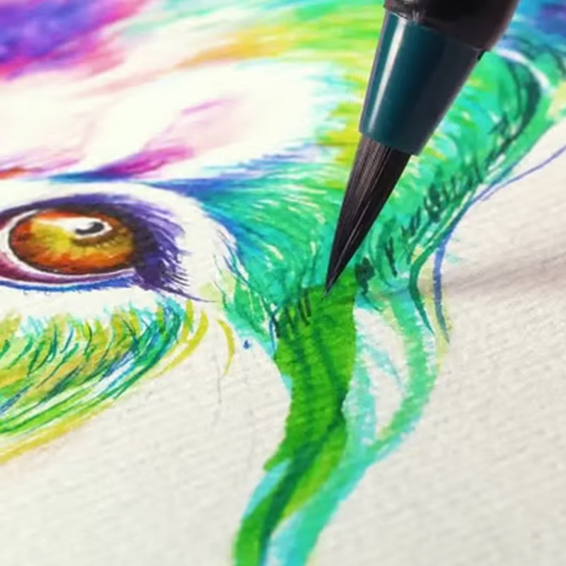 Set de 20 stylos pinceaux imperméables aux couleurs vives