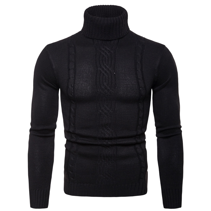 Pull à col roulé pour homme, motif torsadé et coupe ajustée