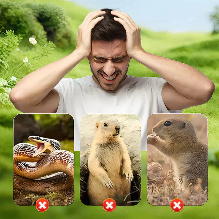 💐50% DE RÉDUCTION ! Répulsif Solaire Étanche à Vis contre les Taupes – Zéro Pile, Zéro Produit Chimique, Écologique 🌿🔁【Offre Limitée】