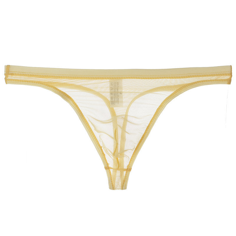 String fin bikini sexy en maille de soie pour hommes