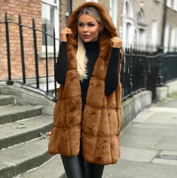 Veste à Capuche Fausse Fourrure Dames Gilet Cardigan💝Nouveau produit - achetez-en 2 livraison gratuite 🌹